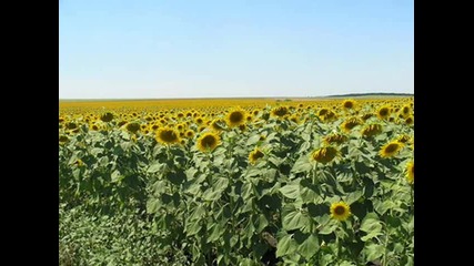 Пилашевски народен оркестър - Чанаклийско хоро 
