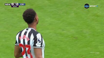 Newcastle United Top Goals of the 2024 Regular Season