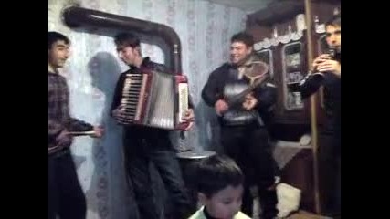 kucek 2012