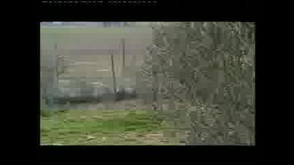 Гонене на Заек - Сабуезо еспаниол
