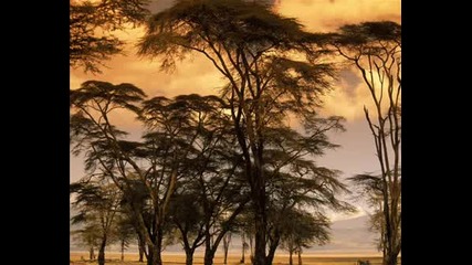 Afrika Pic
