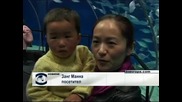 Дядо Коледа поплува в аквариума в Шанхай