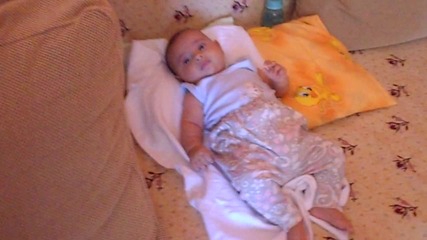 Picture 002