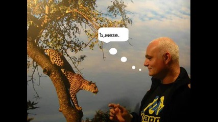 pakata ot akaciiti v grada