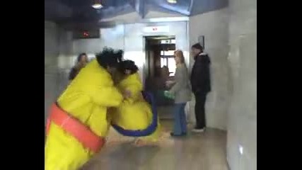 Sumo battle xd 