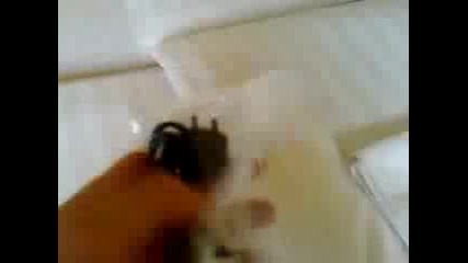 Unboxing the Sony Ericsson W960