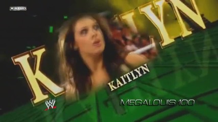 Wwe Money in the Bank 2013 Match Card - Aj Lee vs. Kaitlyn for the Divas Championship