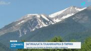 След два дни издирване: Куче насочило спасителите към тялото на изчезналата в Пирин туристка