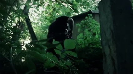 Green Front [post Apocalyptic Jungle Action] Hd