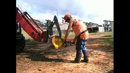 Stihl chainsaws in very hard Eculuypt