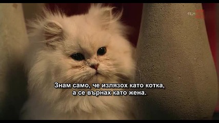 Г-ца Минус - филм с много котки в главните роли - (1 от 3)
