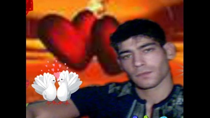 lov4anci