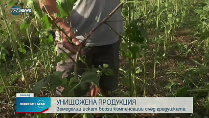 Новините на NOVA NEWS (04.07.2021 - 13:00)