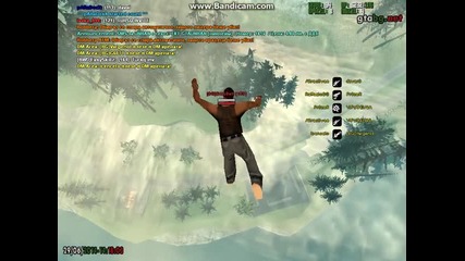 fly