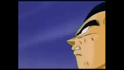 Goku And Vegeta Friends Forever