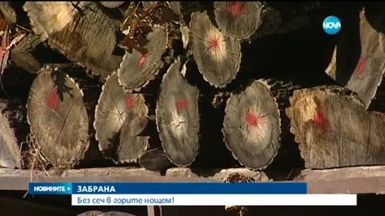 Танева: Дейностите в горите през нощта ще бъдат забранени