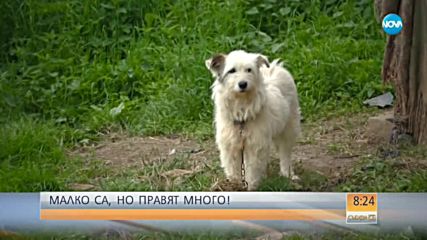 КОГАТО ДОБРОТО ПРОТЕГНЕ РЪКА: Доброволци спасява младо семейство