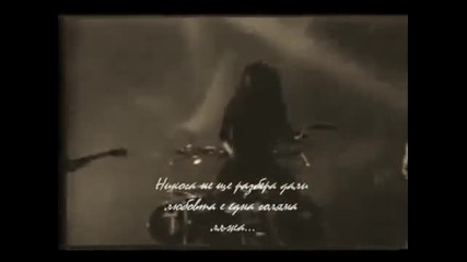 Wasp - The Idol - превод