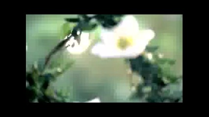 Demi Lovato - Gift Of A Friend 