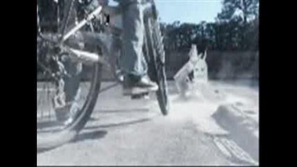Very Funny Animated Gifs Part 71