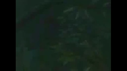 Shino vs Kankuro