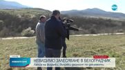РАЗСЛЕДВАНЕ НА NOVA: Община Белоградчик плати 1,5 млн. лв. за несъществуващо залесяване