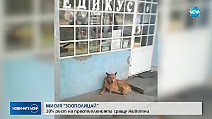 МИСИЯ „ЗООПОЛИЦАЙ”: 30% ръст на престъпленията срещу животни