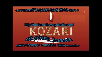 01.kozari instromental 2013-2014
