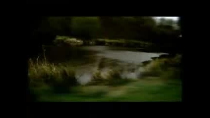Suede - Shes In Fashion