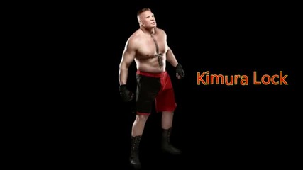 Brock Lesnar Kimura lock on Triple H