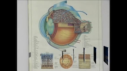 Конференция на офталмолози в София
