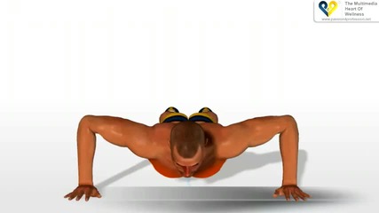 Chest exercises - Push Up