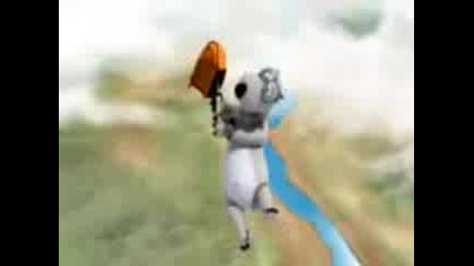 Funny Bear ;]