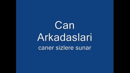 cilgin dersane 1