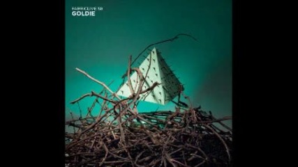fabriclive 58 mixed by goldie