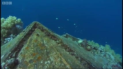 Jacques Cousteaus underworld village in the Red Sea - Bbc 