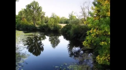 Кажи Довиждане