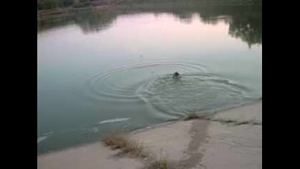 Гари вом Балканите вода