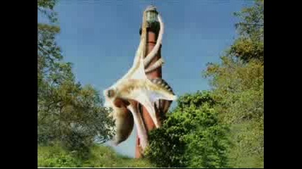 Creatures Of The Deep - The Giant Squid