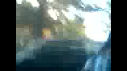 cigani 
