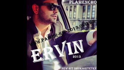 Ervin - Znam Ja Da Nisam Gospodar Sudbine 2013 Dj Plamencho