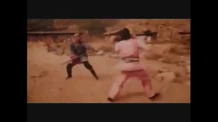 gung fu montage