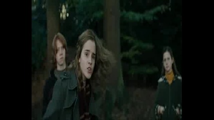 Harry & Hermione - Energy