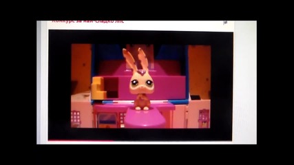 klipowe koito haresvume na petgame