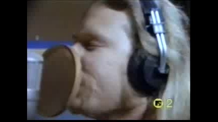 Metallica - Nothing Else Matters