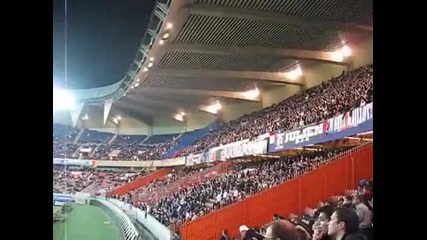 Psg Fans 