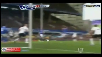 Everton vs Fulham 1-0