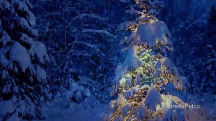 Merry Christmas ! 