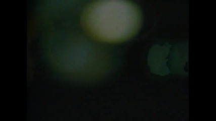 Survivor - Eye Of The Tiger