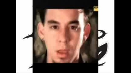 Снимки На Lp